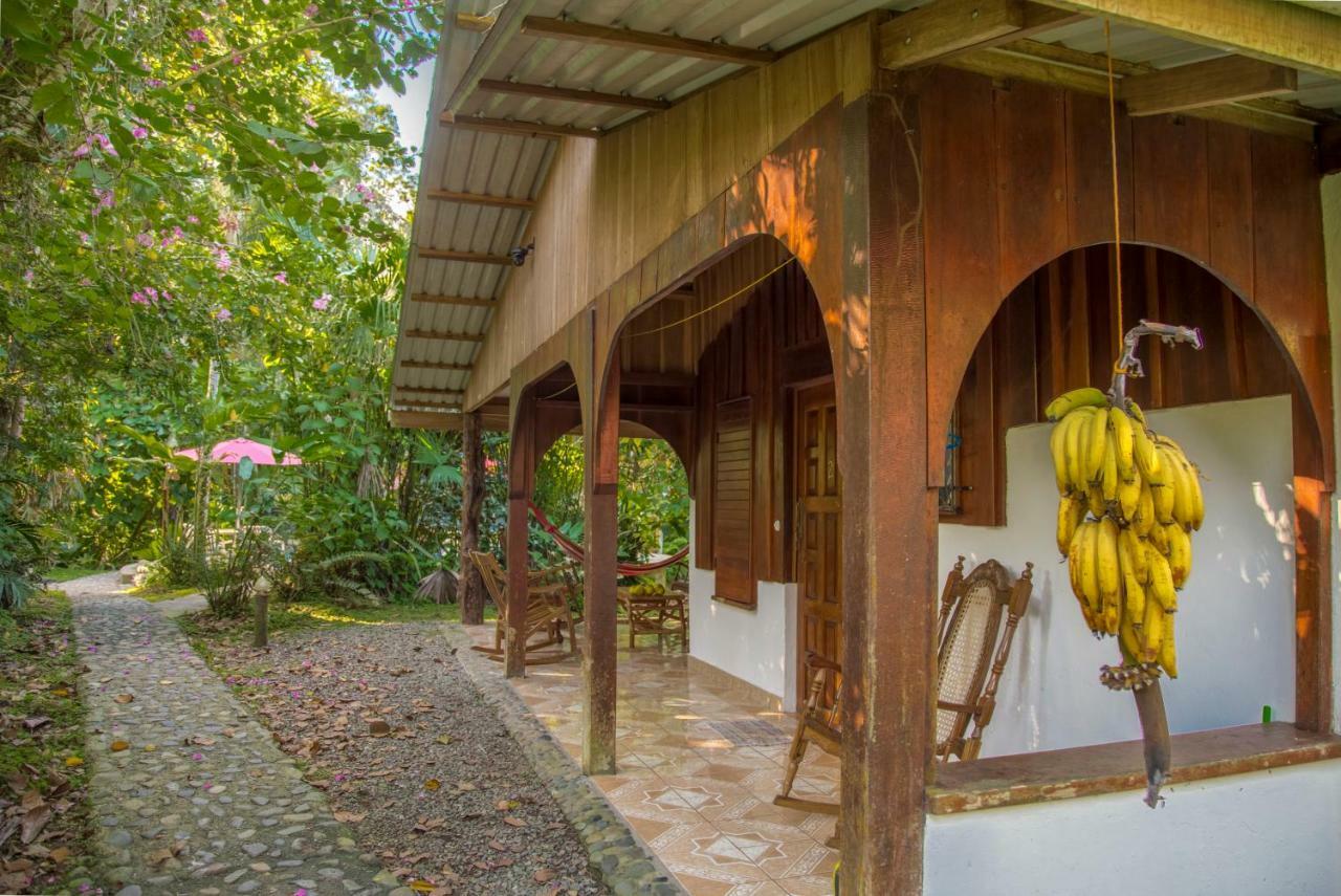 Cabinas Iguana กาอุยตา ภายนอก รูปภาพ