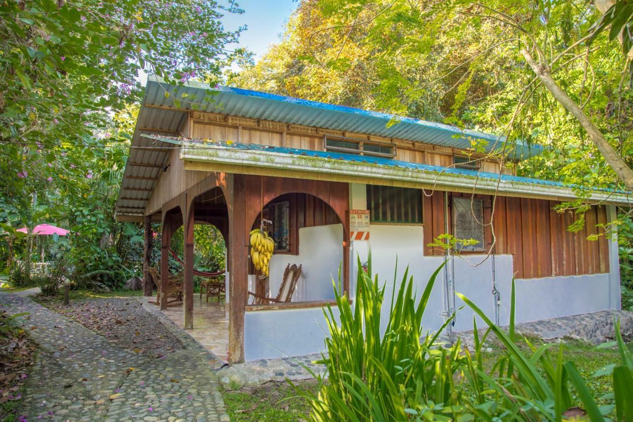 Cabinas Iguana กาอุยตา ภายนอก รูปภาพ